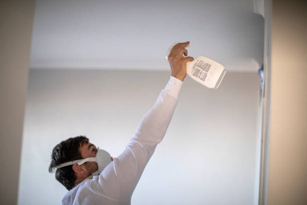 Best Bathroom Mold Remediation in Harwich Port, MA